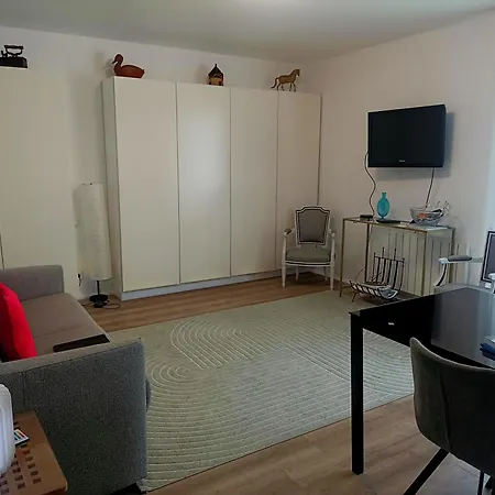 Le Ptit Vincennes A Vichy, 3etoiles, Climatise 公寓 维琪