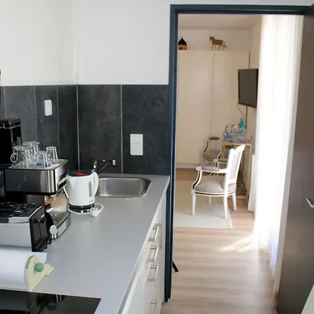 公寓 Le Ptit Vincennes A Vichy, 3etoiles, Climatise *