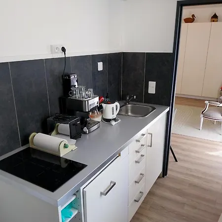 Le Ptit Vincennes A Vichy, 3etoiles, Climatise * 维琪