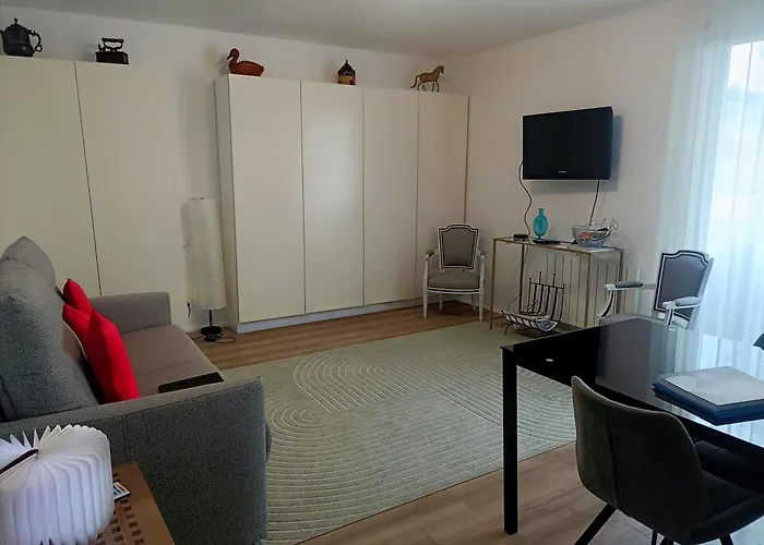 Le Ptit Vincennes A Vichy, 3etoiles, Climatise 公寓 维琪