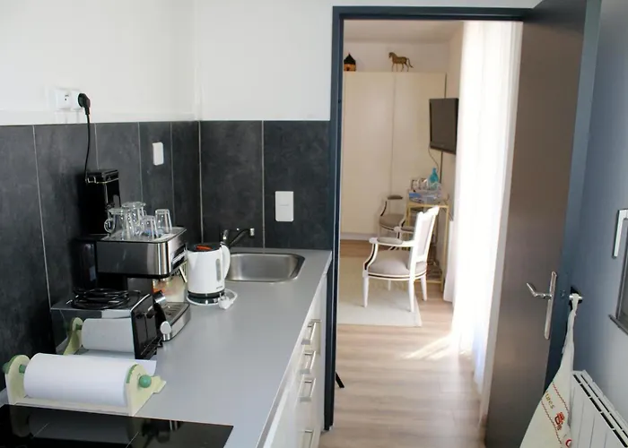 公寓 Le Ptit Vincennes A Vichy, 3etoiles, Climatise *