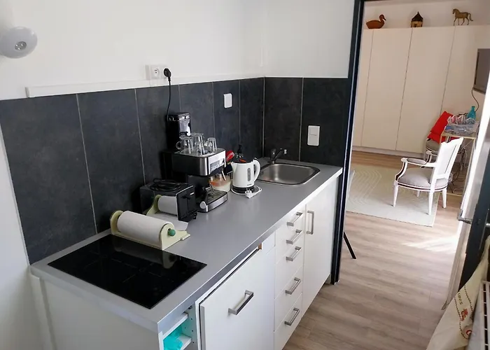 Le Ptit Vincennes A Vichy, 3etoiles, Climatise * 维琪