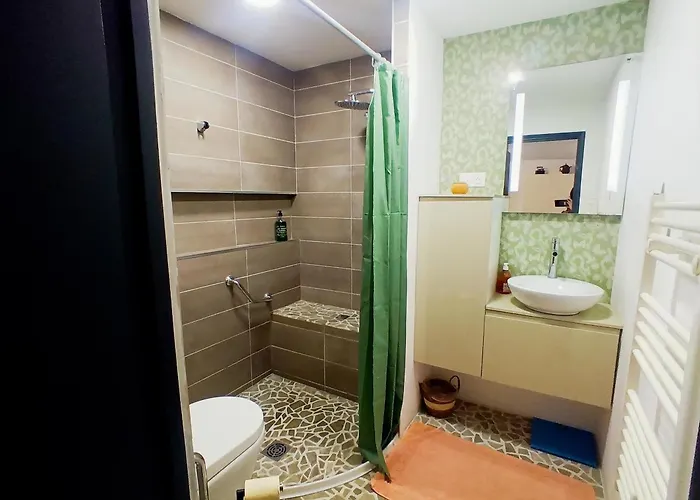 公寓 Le Ptit Vincennes A Vichy, 3etoiles, Climatise 维琪